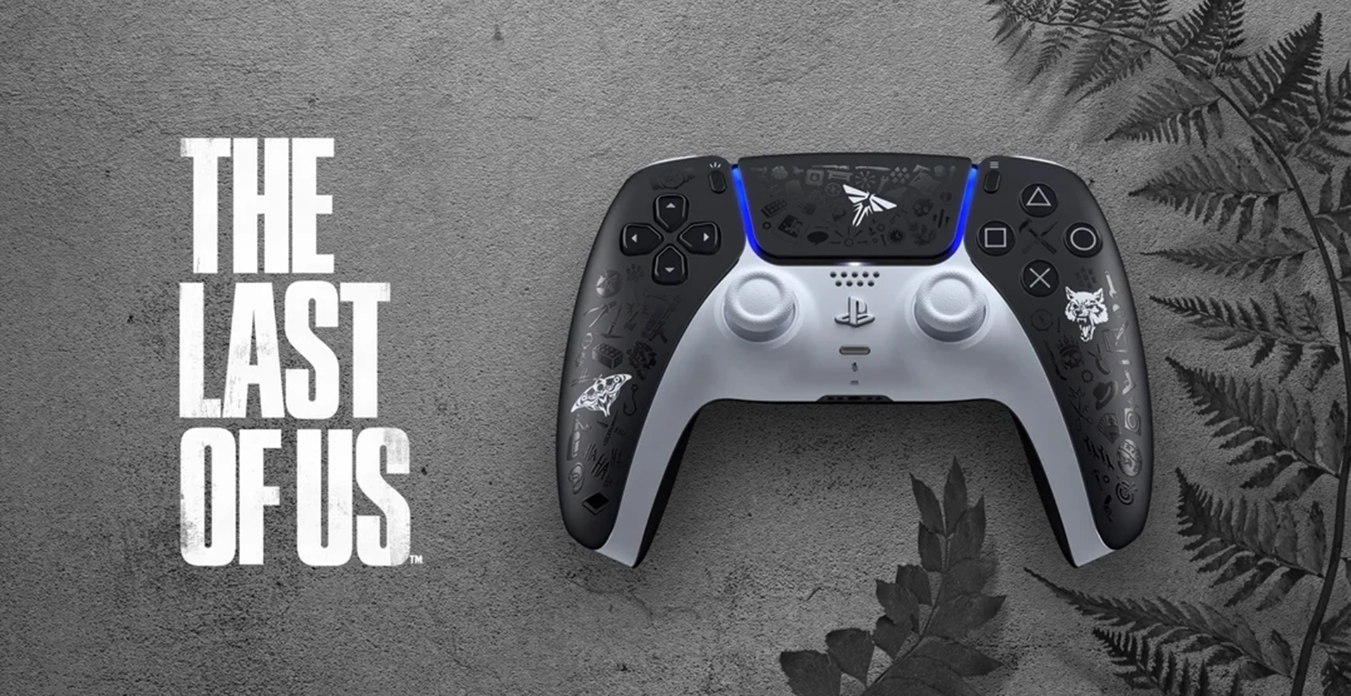 Controle de the last of us