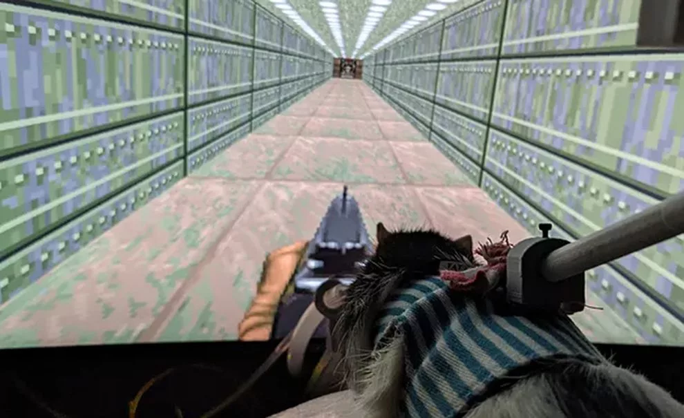 Rato jogando Doom