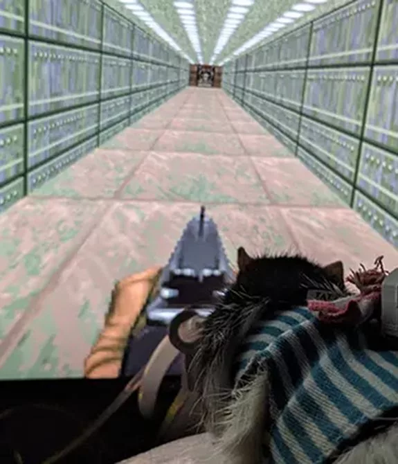 Rato jogando Doom